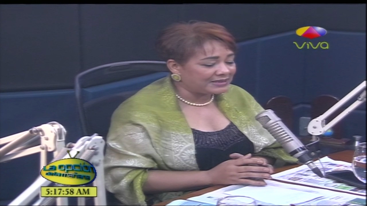 La JCE Inhabilitará A Los Candidatos Que Violenten La Ley