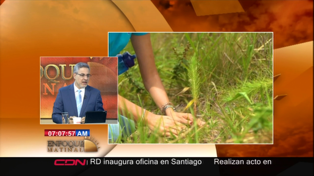 “La Calor Matando” ¿Qué Estamos Haciendo Cada Uno De Nosotros Para Disminuir El Calentamiento Global?