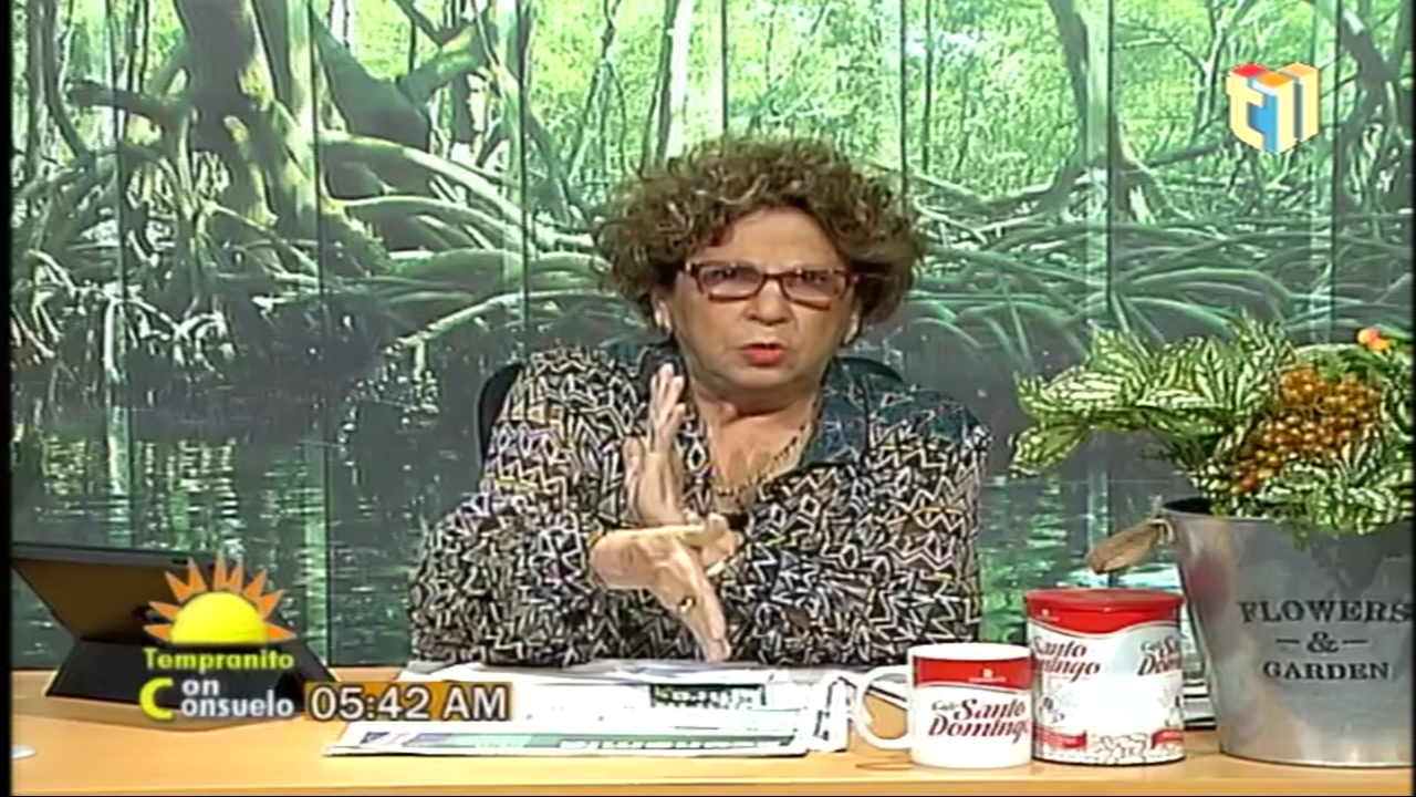 Consuelo Despradel: “El Narcotráfico Al Lado De La DEA”