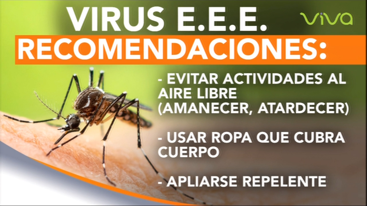 “Alerta De Salud” Reportan 4 Muertos Por EEE, Una Enfermedad Producida Por La Picadura De Mosquito