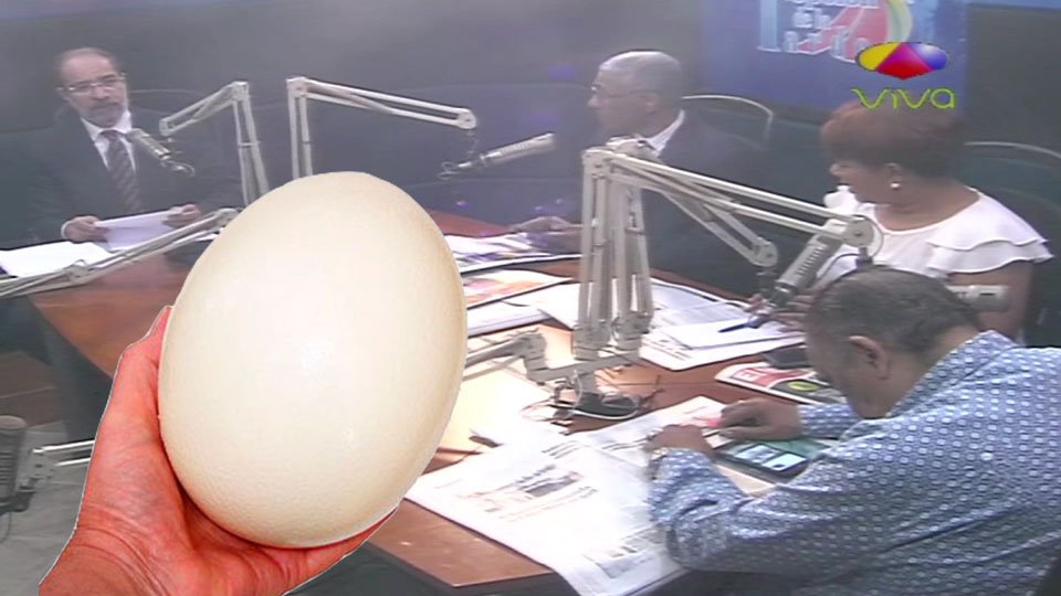 El Huevo De Avestruz Que Puso La Procuraduría