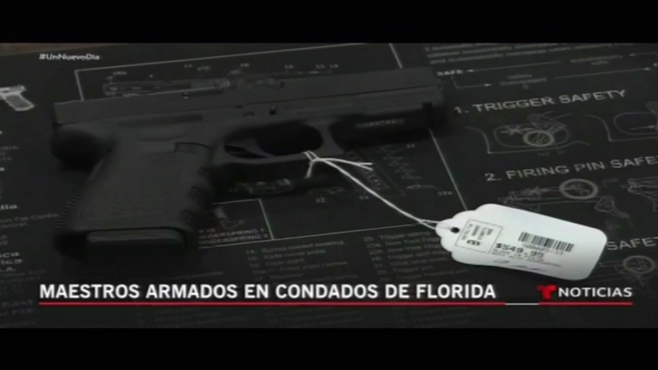 Maestros Armados En Condados De Florida