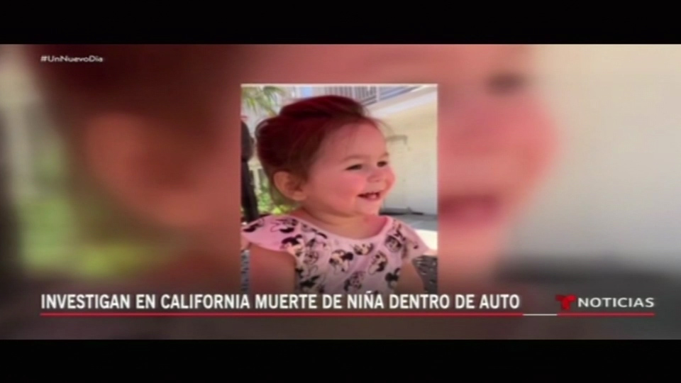 Niña De Dos Años Muere Tras Permanecer Varias Horas En Un Auto