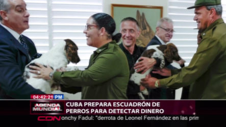 Cuba Prepara Escuadrón De Perros Para Detectar Dinero