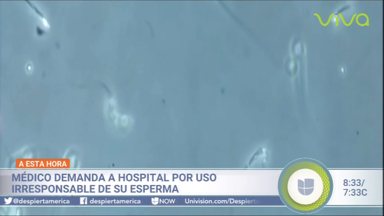 Medico Demanda A Hospital Por Uso Irresponsable De Su Esperma