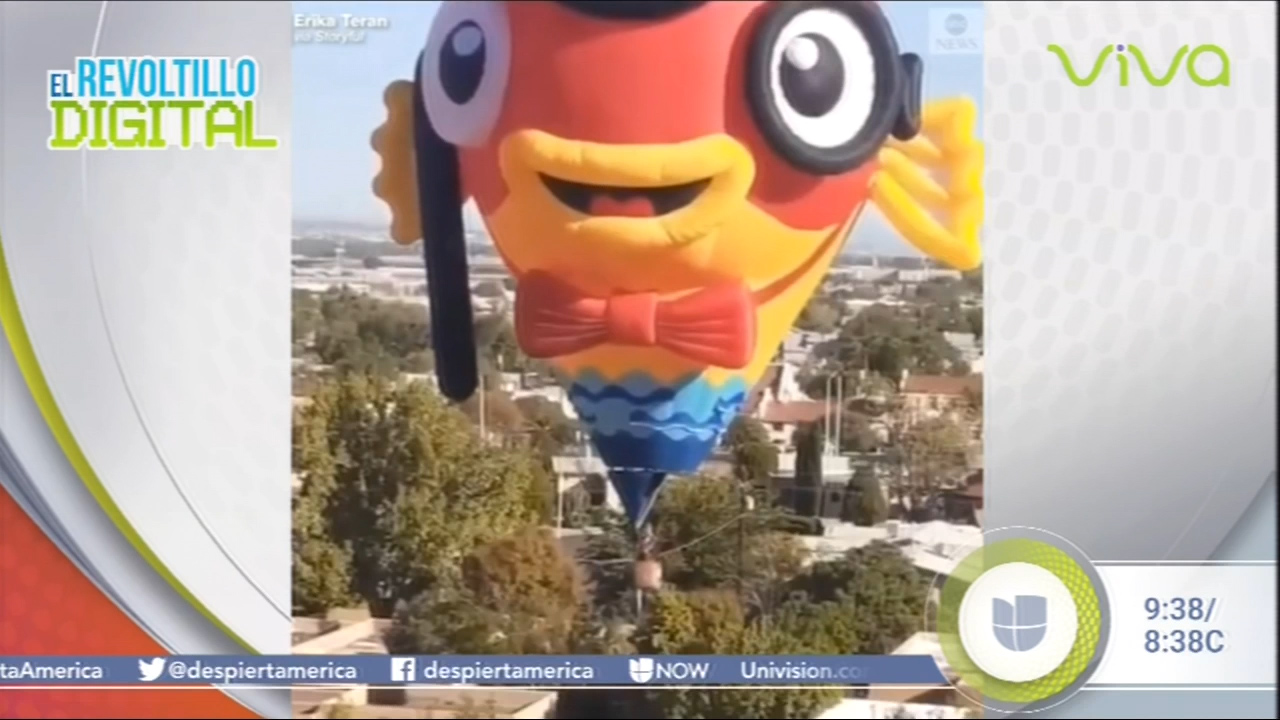 Globo Aerostático Aterriza De Emergencia En Una Calle De EE.UU