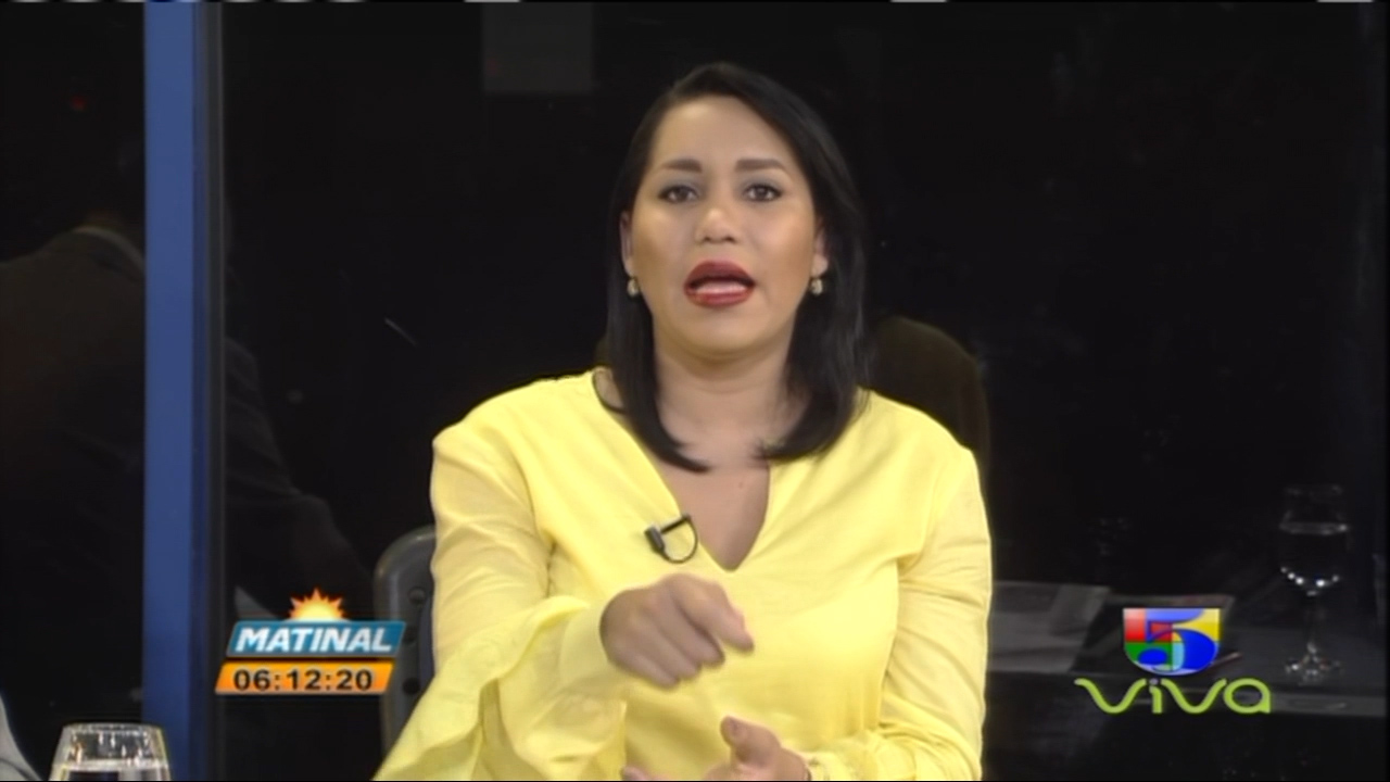 ¿Qué Pasará Con Leonel Fernández Luego De Las Auditorias?