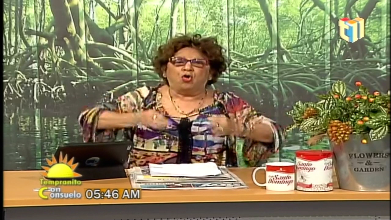 Consuelo Despradel: “Leonel Hace Un Llamado A La Sedición”