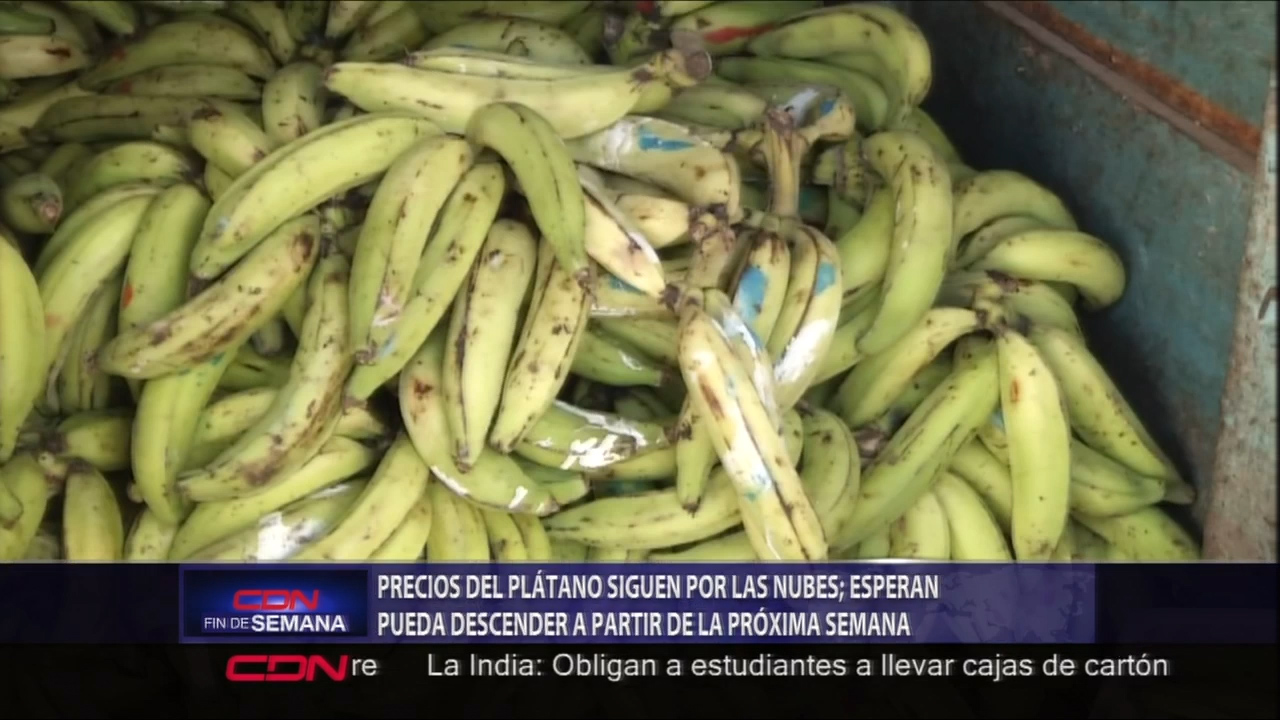 Precios Del Plátano Sigue Por Las Nubes Y Esperan Que Pueda Descender A Partir De La Próxima Semana