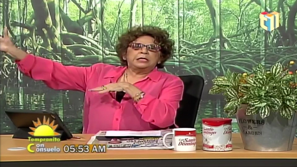 ¡BUSCA TUS VOTOS! Consuelo Despradel Le Entra A Luís Abinader