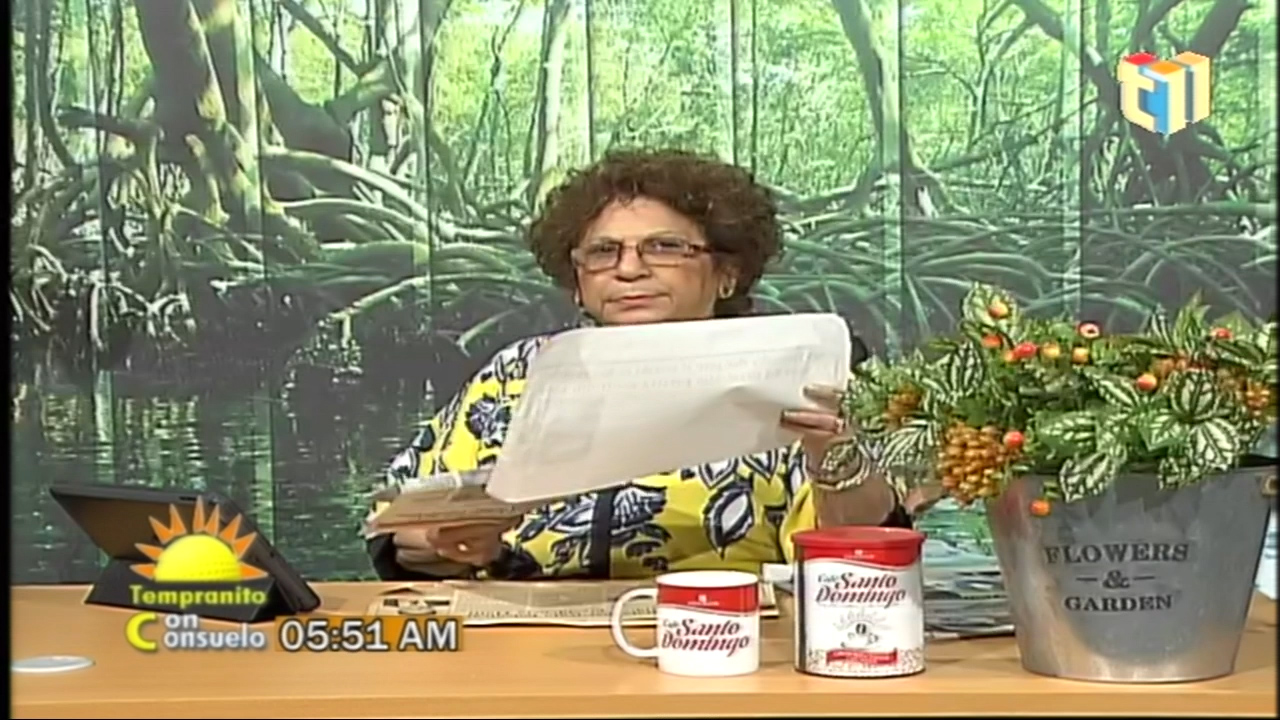 Consuelo Despradel Debate Sobre El Doble Moralismo Del Ex Presidente Leonel Fernández