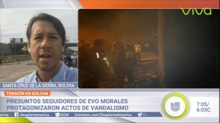 Tensión En Bolivia: Seguidores De Evo Morales Protagonizaron Actos De Vandalismo Tras La Renuncia Del Mandatario