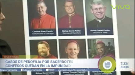 Casos De Pedofilia Por Sacerdotes Confesos Quedan En La Impunidad