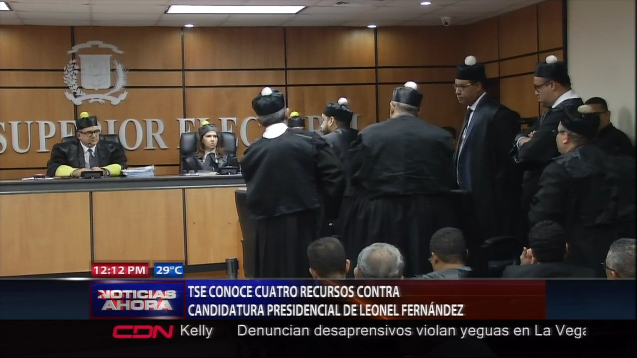 TSE Conoce Cuatro Recursos Contra La Candidatura Presidencial De Leonel Fernández