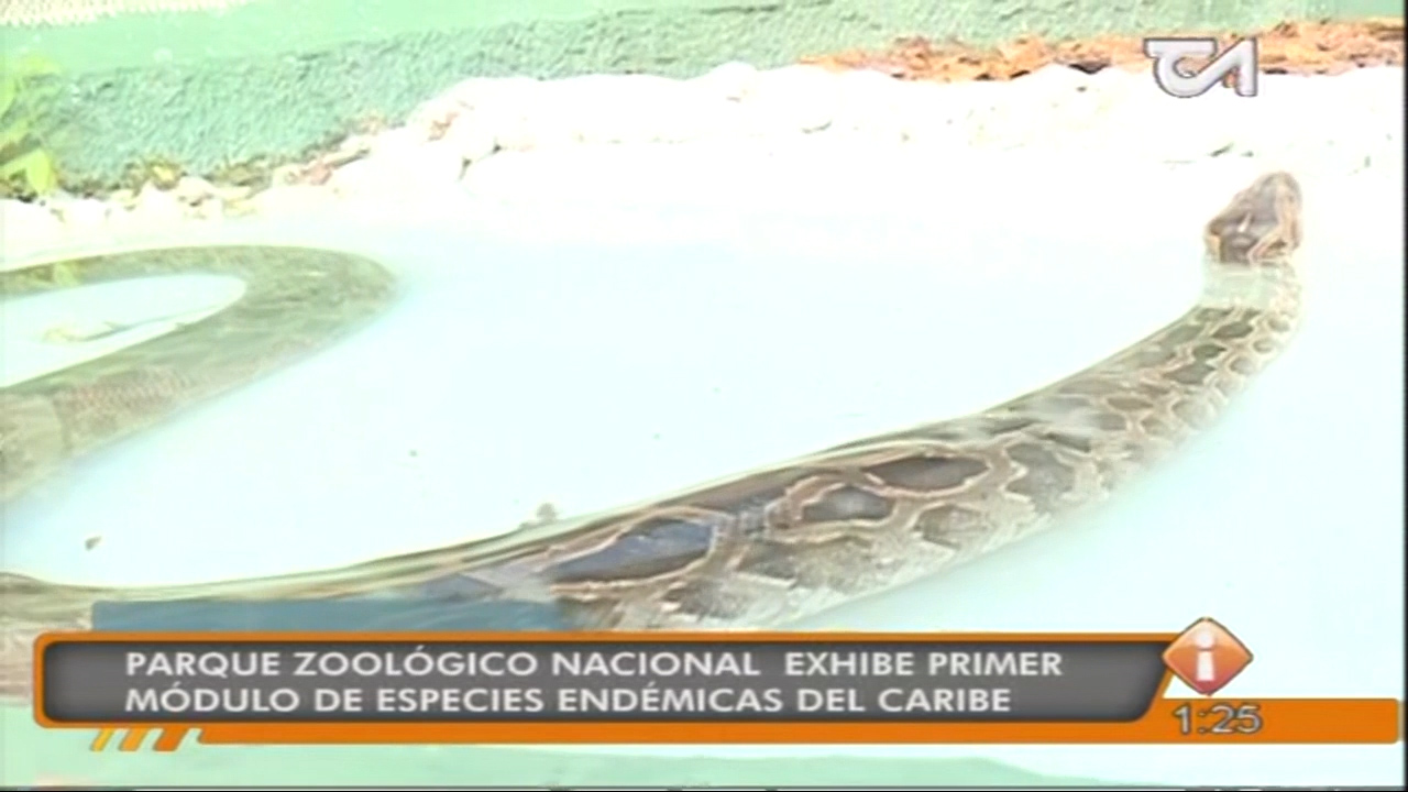 Parque Zoológico Nacional Exhibe Primer Módulo De Especies Endémicas Del Caribe