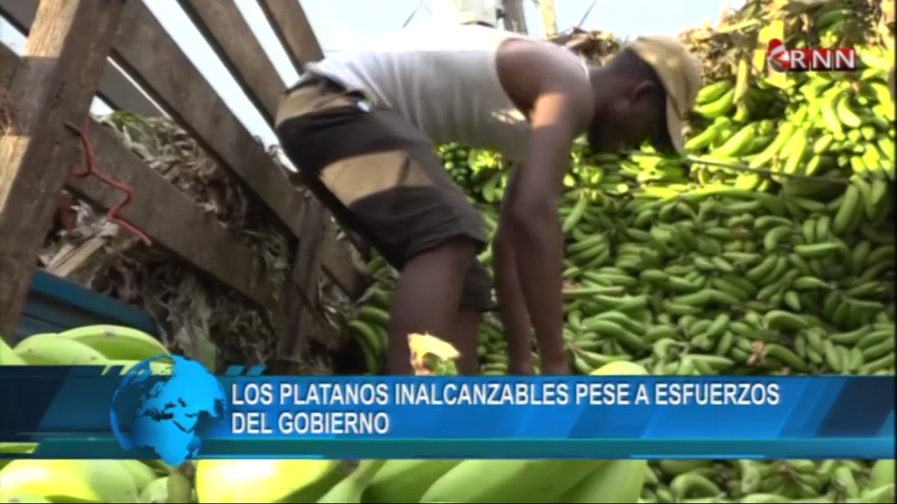 Los Plátanos Inalcanzables Pese A Esfuerzos Del Gobierno