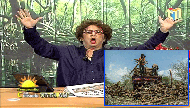 Consuelo Se Riega Con El Contrabando Del Guaconejo