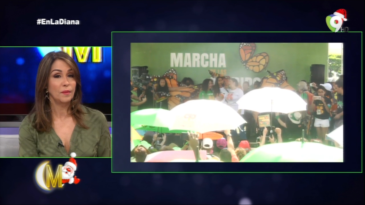 En La Diana: Marcha De Las Mariposas En Conmemoración Al Día Internacional De La Eliminación De La Violencia Contra La Mujer.