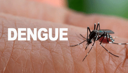 Confirman 57 Niños Han Muerto De Dengue Solo En Robert Reid