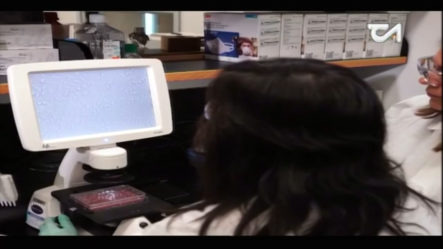 Laboratorios Amadita Y Referencia Ya Se Encuentran Listos Para Realizar Pruebas Del Coronavirus A Domicilio