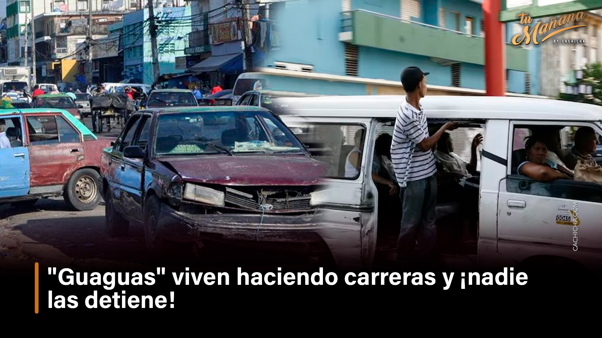 “Guaguas” Viven Haciendo Carreras Y ¡nadie Las Detiene!
