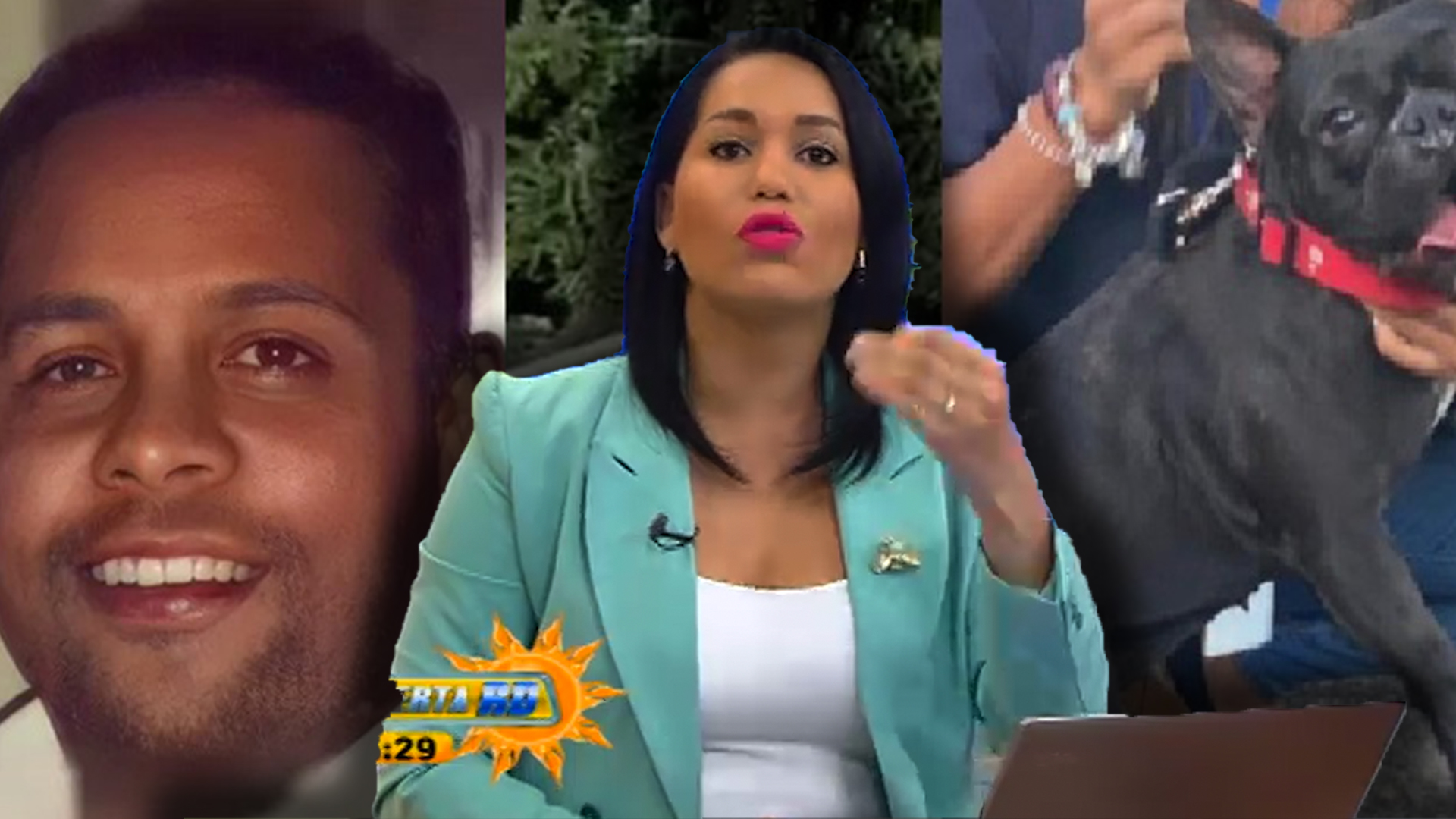 “Si El Señor Que Golpeó A La Perrita Es Sicólogo, Atención A Los Pacientes”