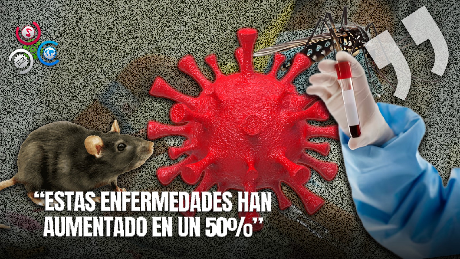 29 Muertes Por Leptospirosis Y 9 Por Dengue Al Inicio De La Temporada Ciclónica