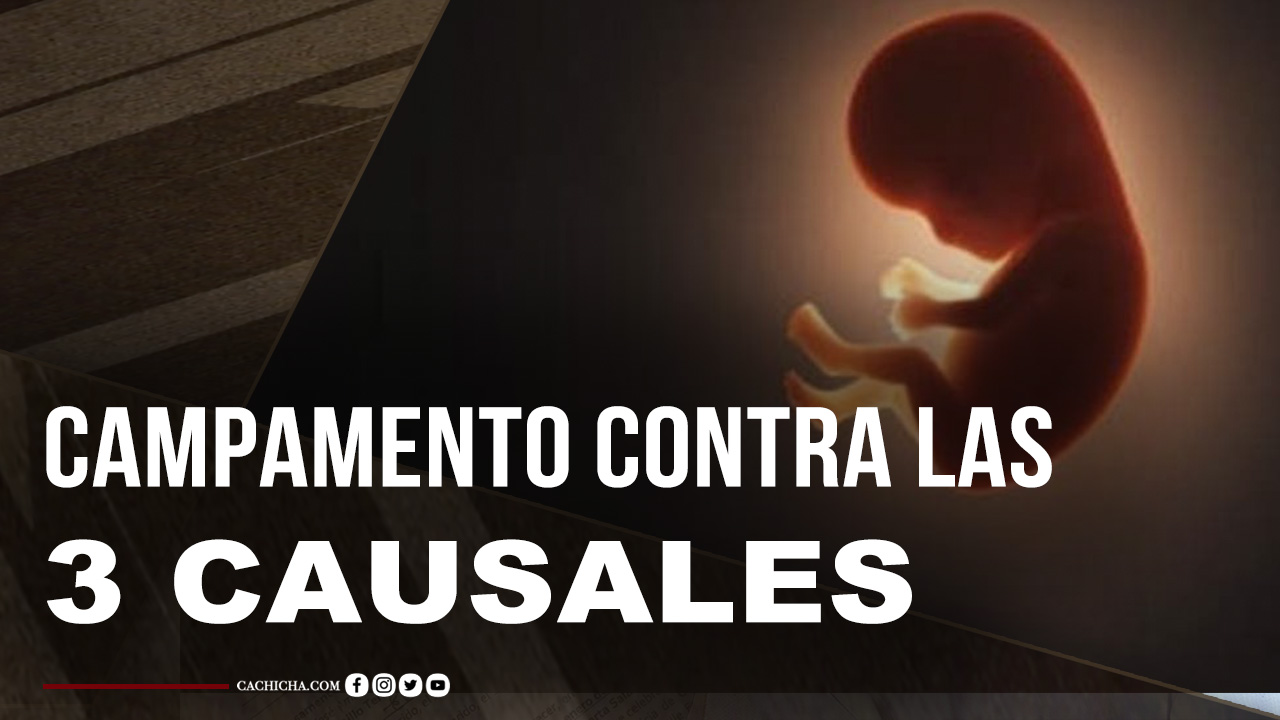 Conoce Los Detalles Del Campamento Contra Las 3 Causales