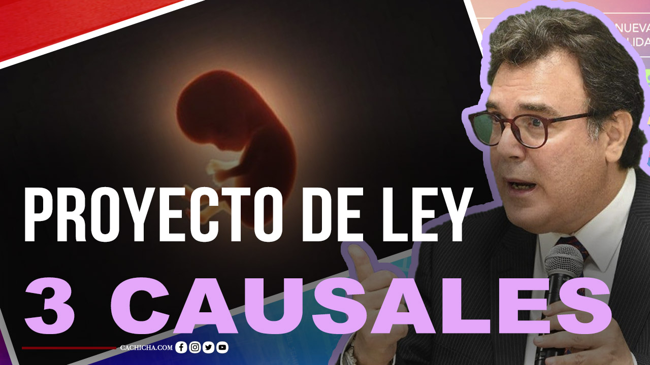 El Delicado Proyecto De Ley De Las 3 Cáusales  | Tu Mañana By Cachicha
