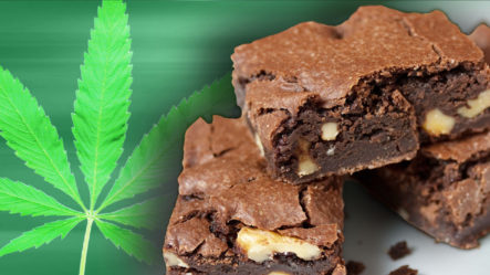 Brownies De Marihuana En Campamento De Las 3 Causales