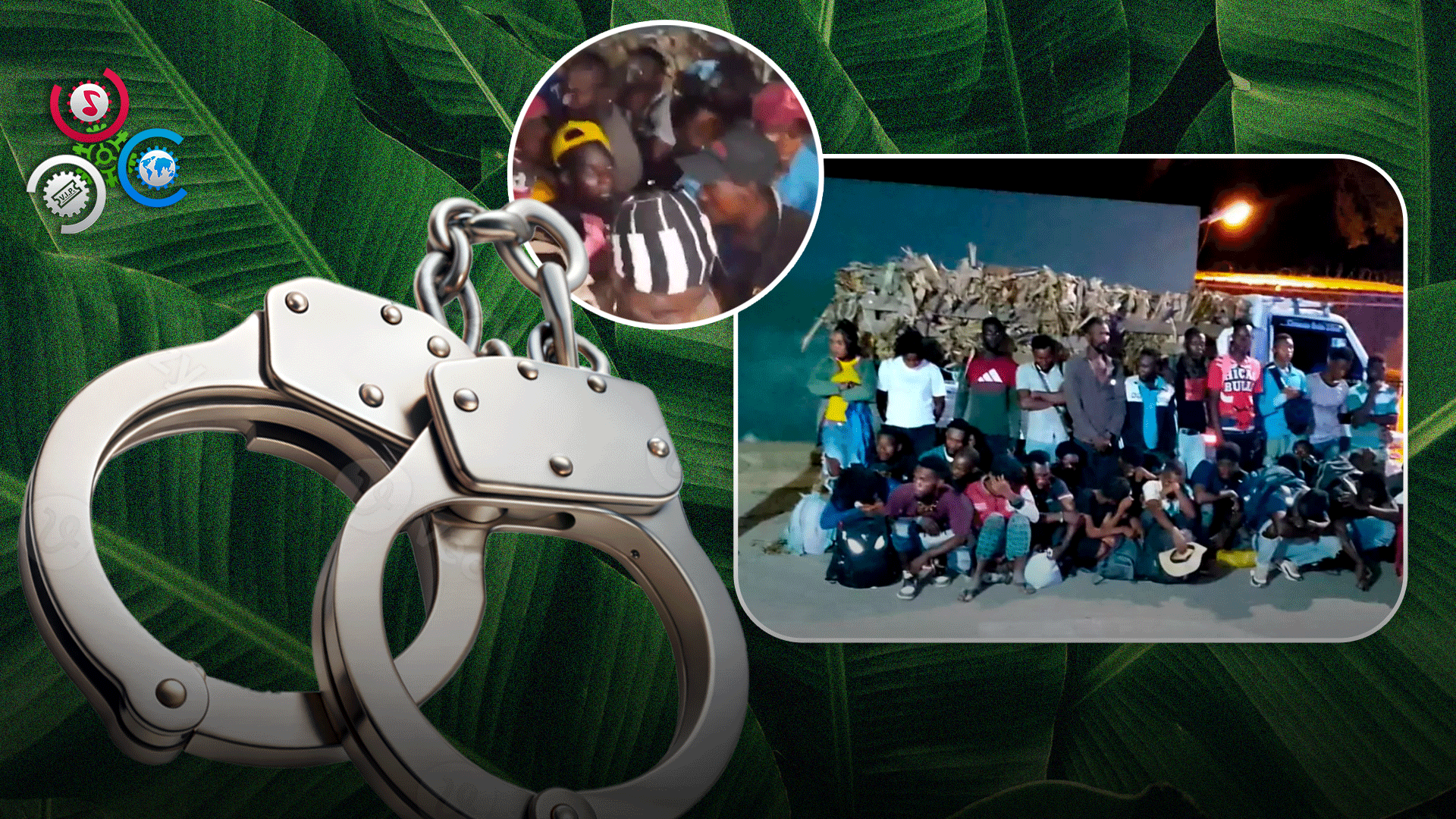 Arrestan Dominicano Que Transportaba 35 Haitianos Indocumentados Ocultos Bajo Hojas De Plátano En Mao