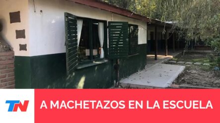 Conmoción En Un Colegio De Escobar: Un Alumno Atacó Con Un Cuchillo A Una Compañera Y A La Maestra