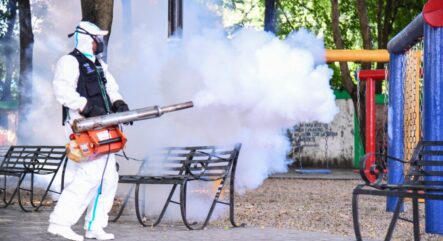 Realizan Jornada Contra El Dengue En Capotillo