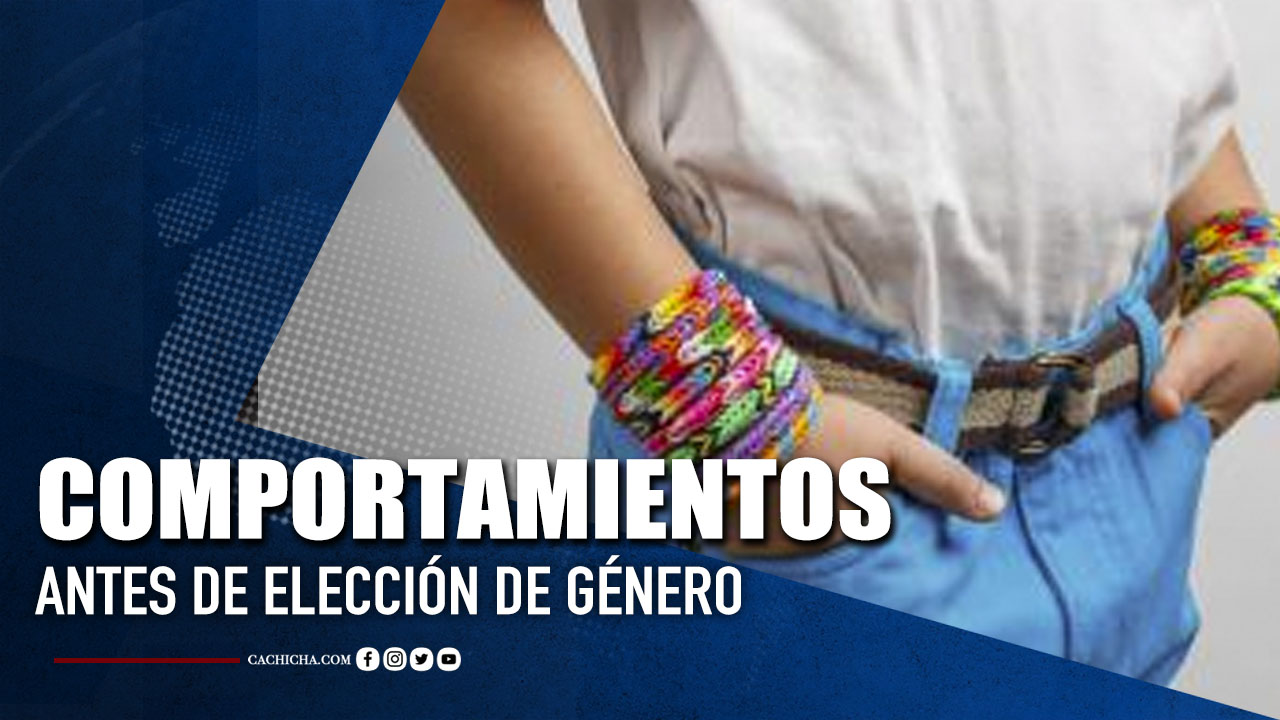 Sexóloga Habla Sobre Los Comportamientos Antes De Elección De Género  | Tu Tarde