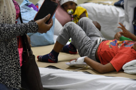 Al Menos 4 Niños Muertos Por Dengue Según El Hospital Robert Reid