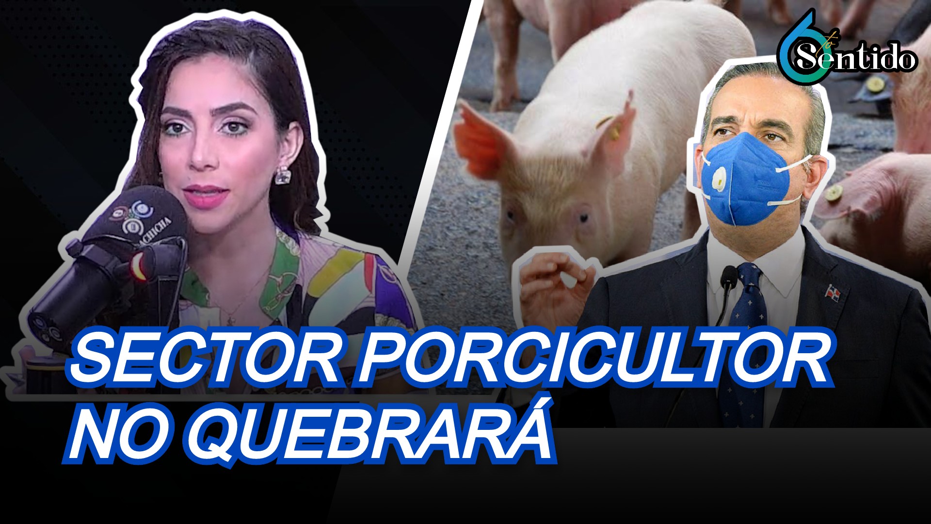 Abinader Dice Sector Porcicultor, Afectado Por Peste Africana, No Quebrará | 6to Sentido