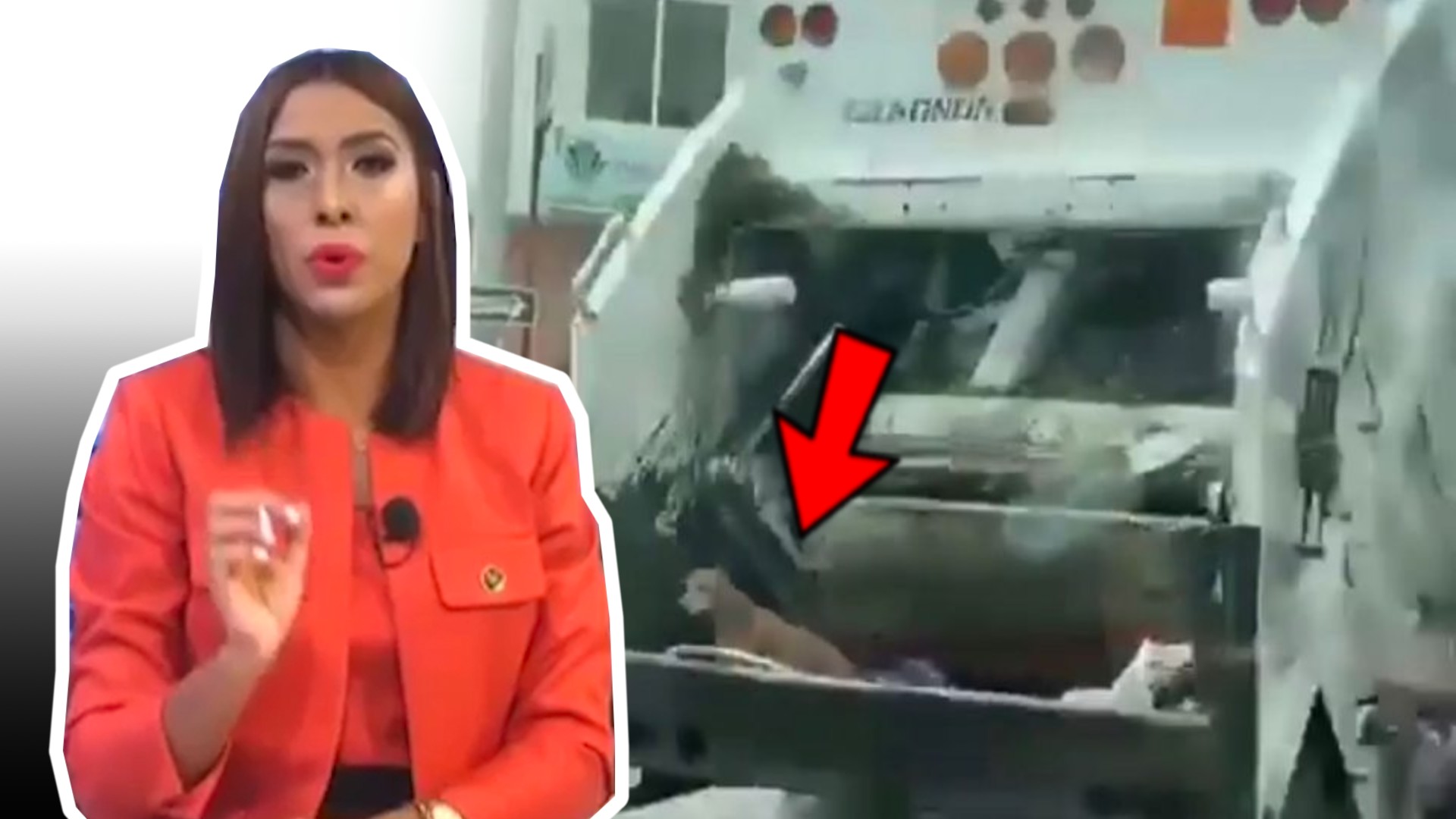 Denuncian Camión Recolector De Basura Del Ayuntamiento De Baní Maltrata Perros