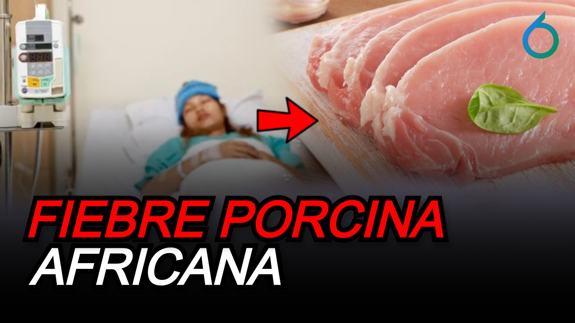 Fiebre Porcina Africana: Un Trauma Para El País | 6to Sentido