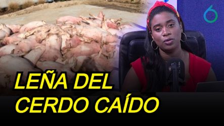 Joysi Melenciano: Leña Del Cerdo Caído | 6to Sentido