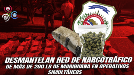¡200 Libras De Droga Incautadas!: 7 Arrestados Durante Intervenciones Realizadas En Barahona, Pedernales Y SDE