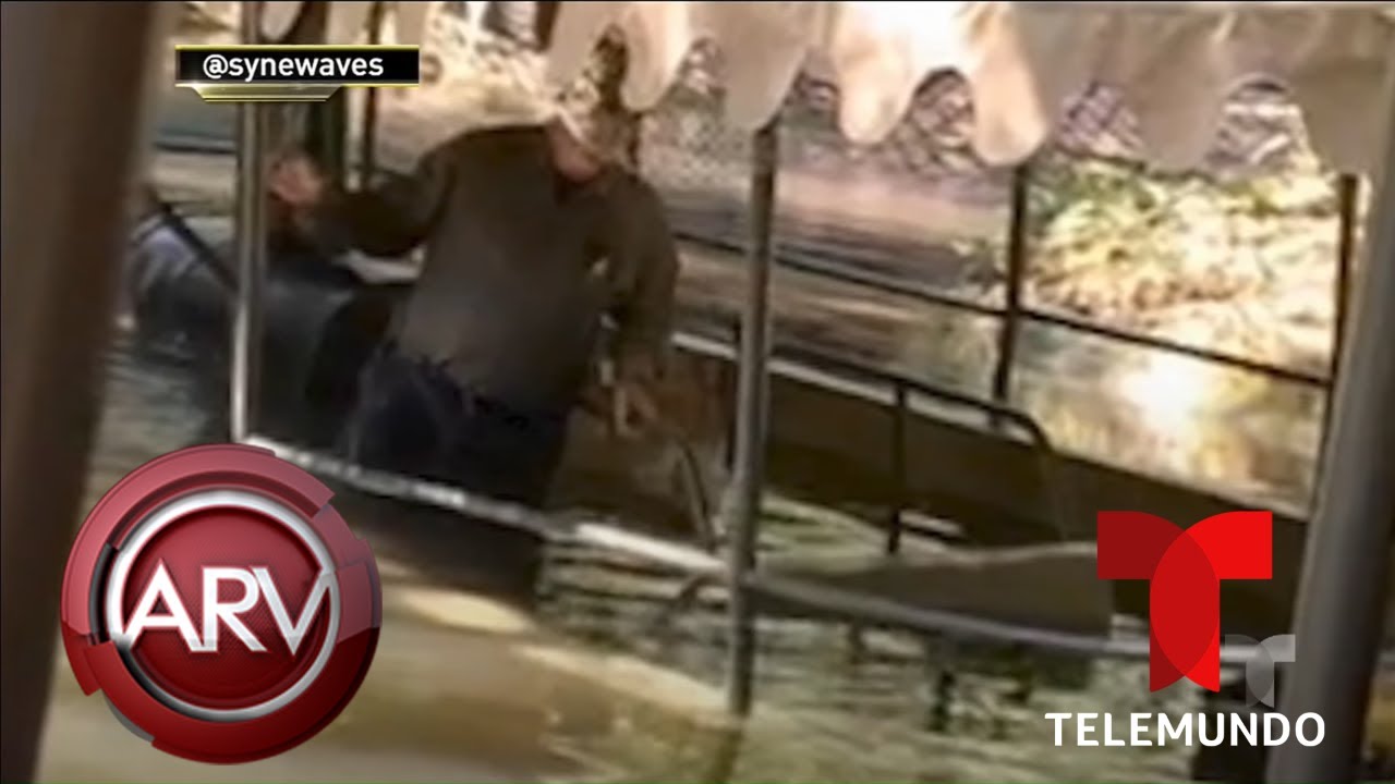 Se Hunde Un Barco Del Jungle Cruise En Un Parque De Disney En Orlando