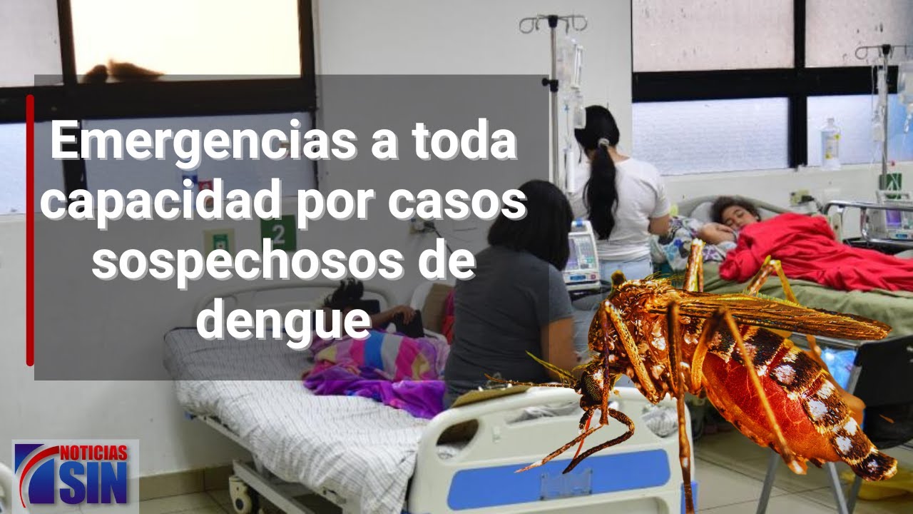 Emergencias A Toda Capacidad Por Casos Sospechosos De Dengue