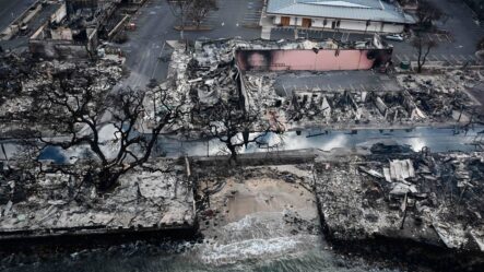Aumenta A 55 La Cifra De Muertos Por Los Incendios En Maui, En Hawaii Y Estiman Que Habrá Más