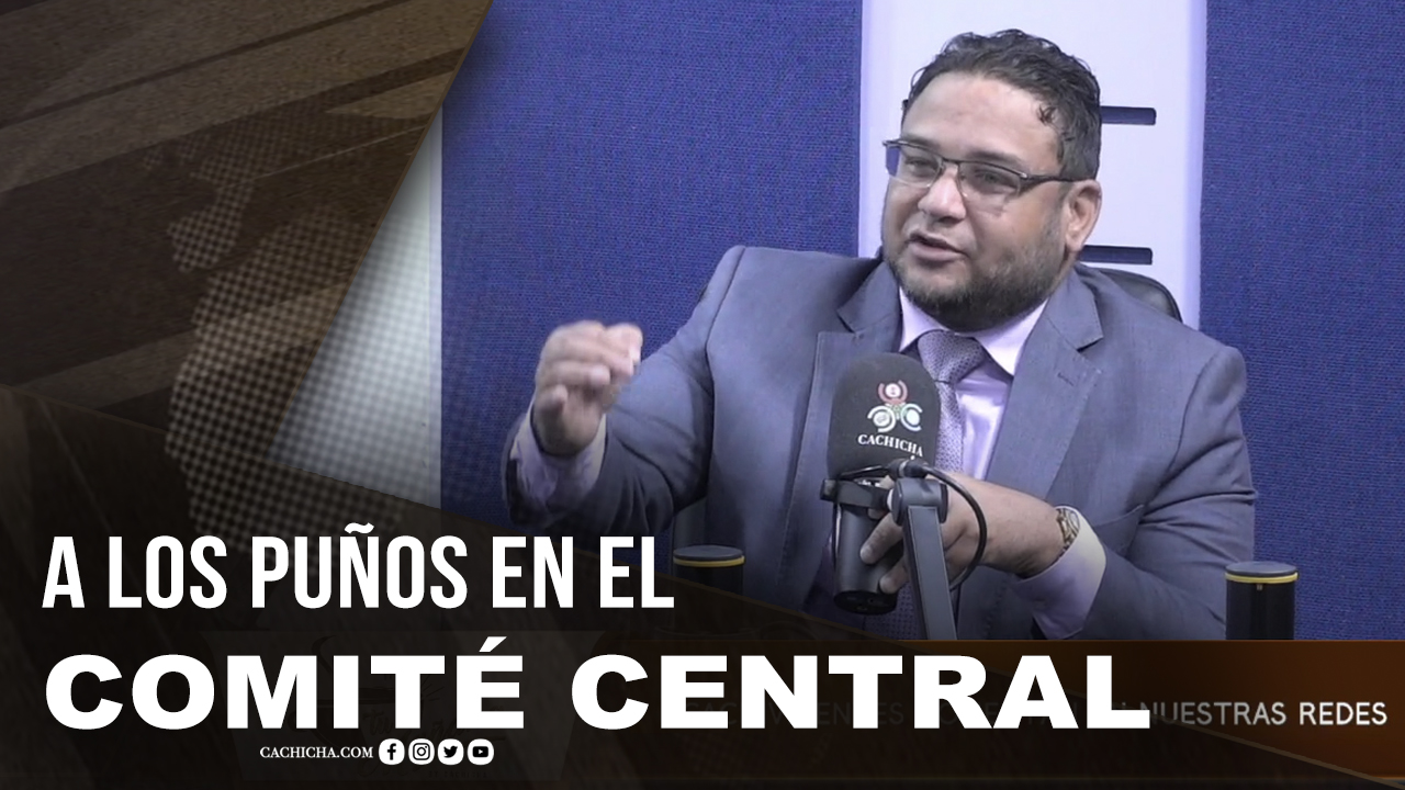 “Se Fueron A Los Puños”en El Comité Central Del PLD | Tu Mañana