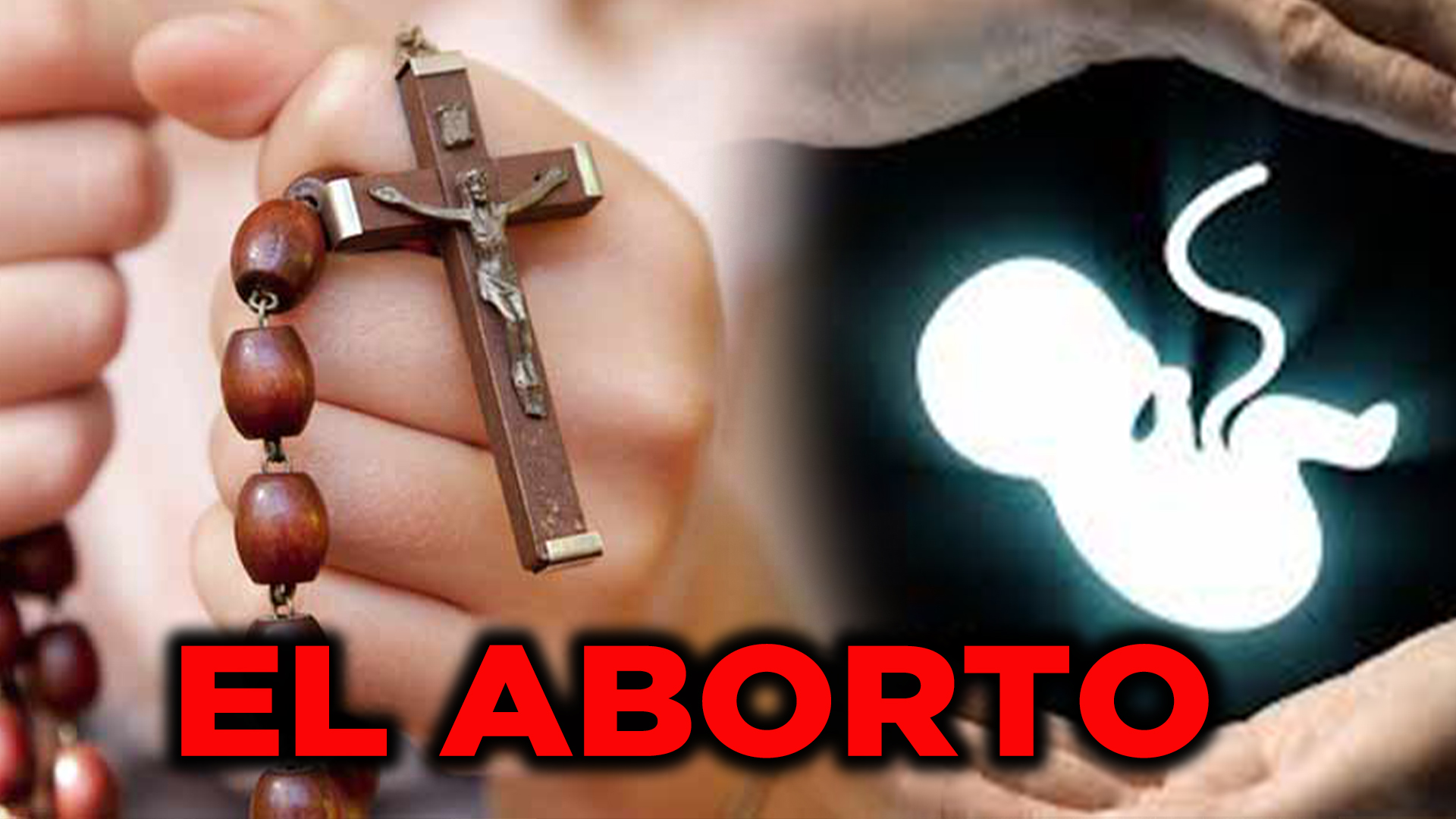 El Episcopado Dice Su Posición Con Respecto A La Ley De Las 3 Causales