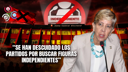 Senadora De Puerto Plata Pide Revisar El Sistema Político Por Debate Sobre Candidaturas Independientes