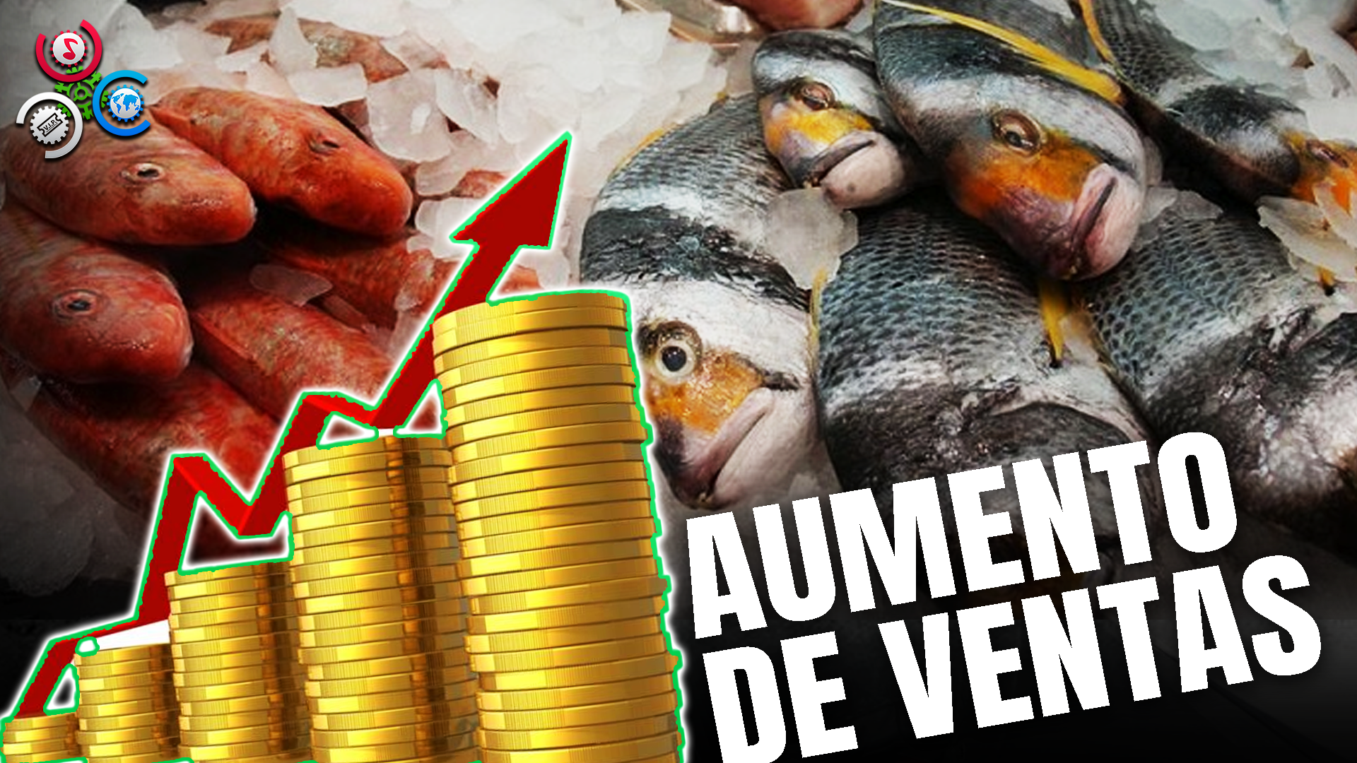 Se Dinamiza Venta De Pescado Y Otras Especias Marinas A Propósito De Semana Santa