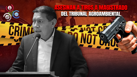 Crimen Sacude A Bolivia: Matan A Juez Del Tribunal Agroambiental