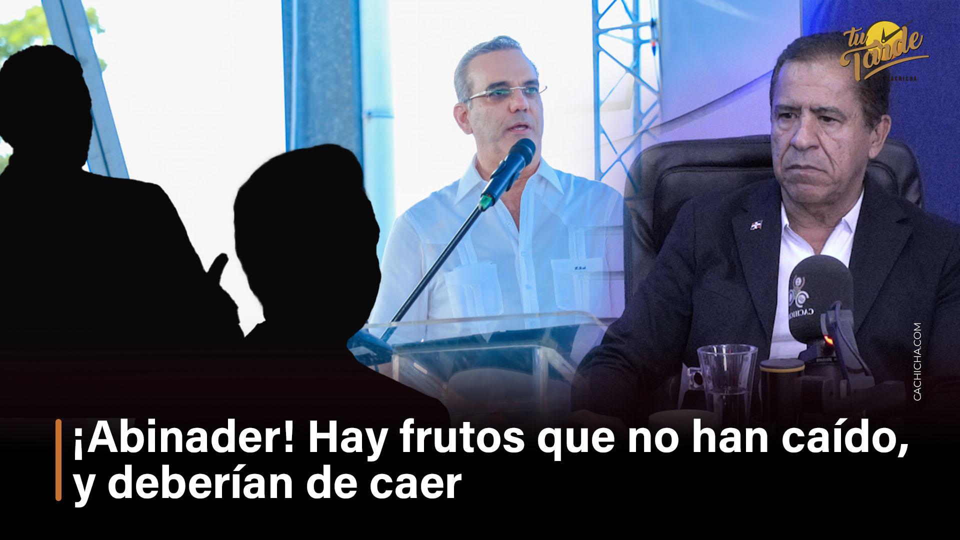 ¡Abinader! Hay Frutos Podridos Que No Han Caído, Y Deberían De Caer