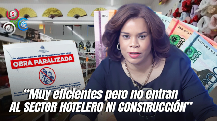 Abril Peña Insta A Perseguir Otros Sectores Que Involucran Evasión De Impuestos Y Mano De Obra Indocumentada 